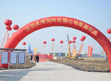 16d0990d4a7104e9af8707de9b347592