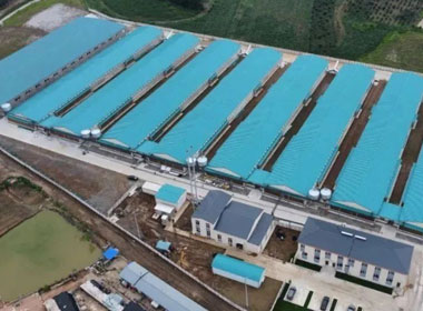 e78f6335585b473f5ff8fd6fbd559ba4