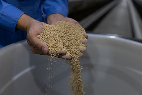 086ed3158fa507b278c7ff8593353030