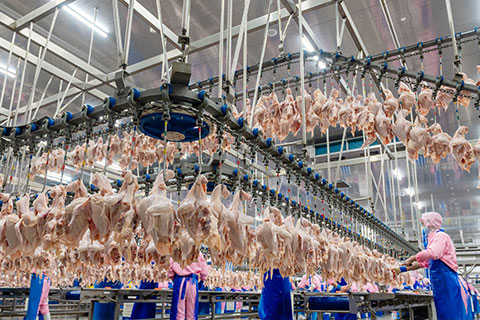 a42f0975ee8140ad87bc24dfc844e5fb